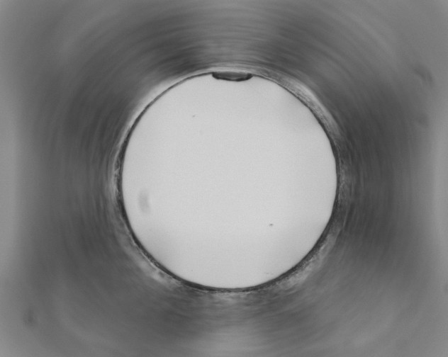 X0000111200908200908121107