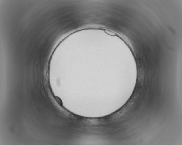 X0000111200911200908121107