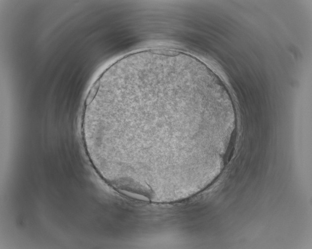 X0000111200912200908121107