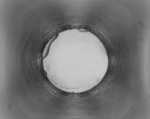 X0000111200914200908121107