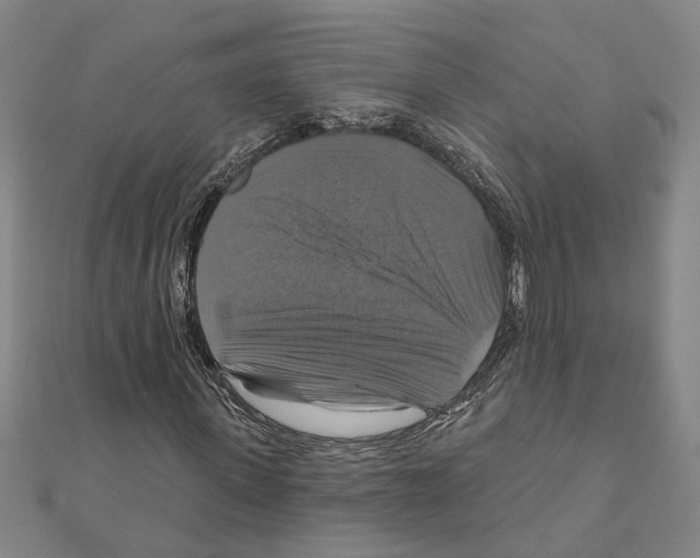 X0000111200915200908121107