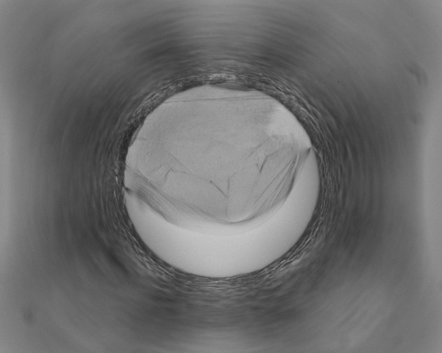 X0000111200916200908121107