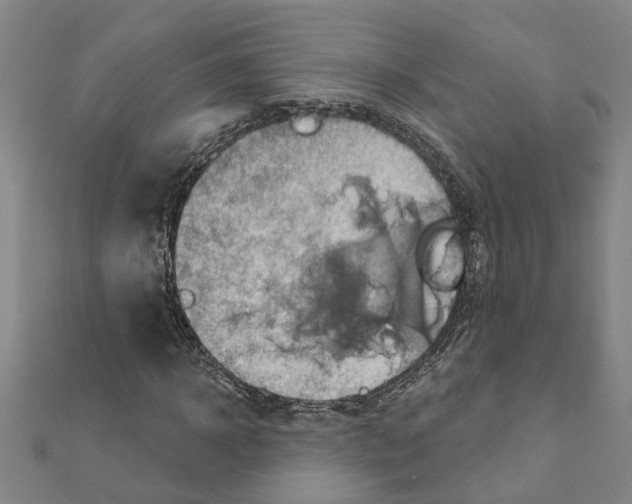 X0000111200918200908121107