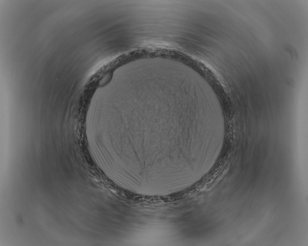 X0000111200919200908121107