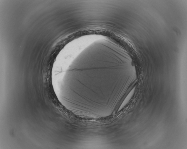 X0000111200920200908121107