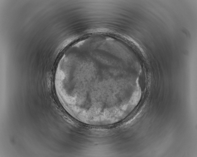 X0000111200921200908121107