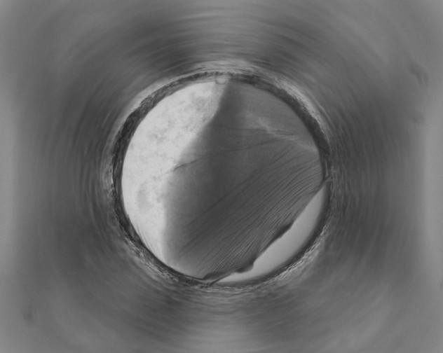 X0000111200923200908121107