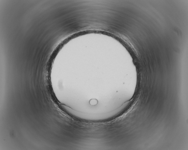 X0000111200926200908121107