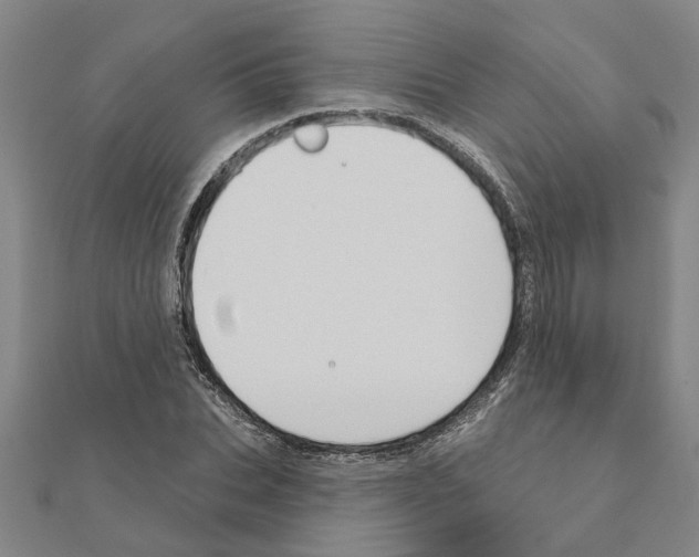 X0000111200927200908121107