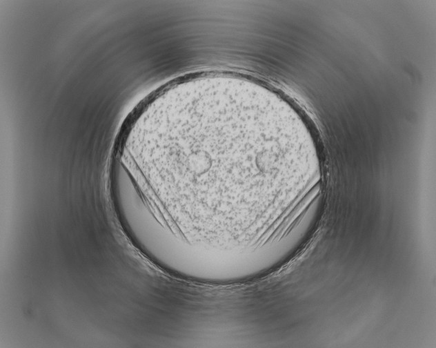 X0000111200928200908121107