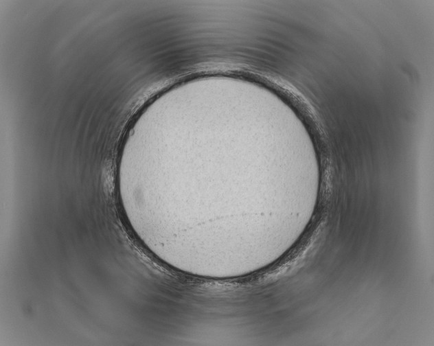 X0000111200929200908121107