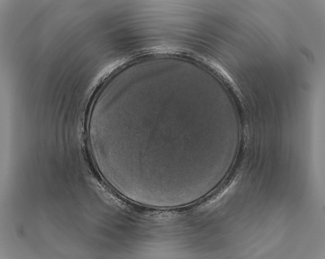 X0000111200930200908121107