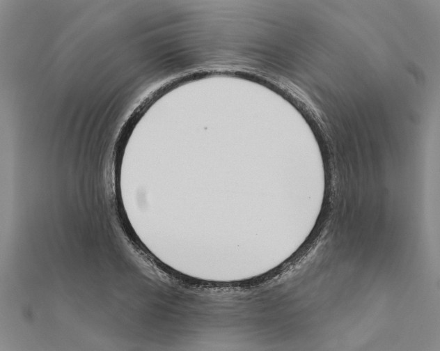 X0000111200934200908121107