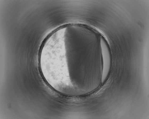 X0000111200935200908121107