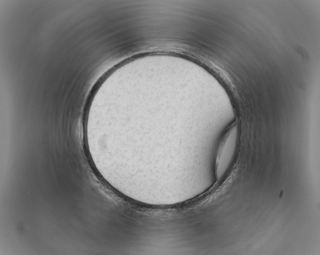 X0000111200936200908121107