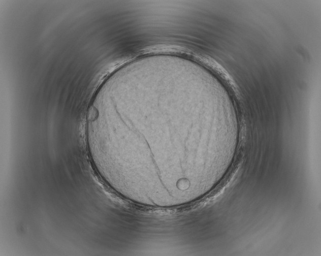 X0000111200937200908121107