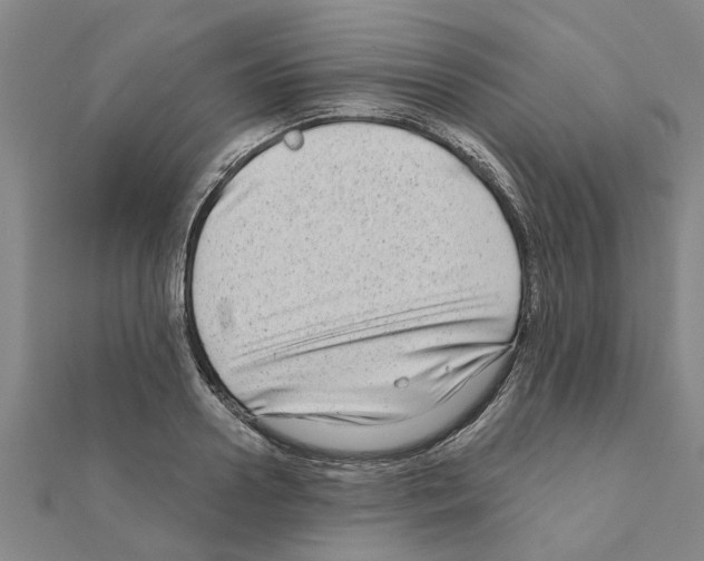 X0000111200938200908121107