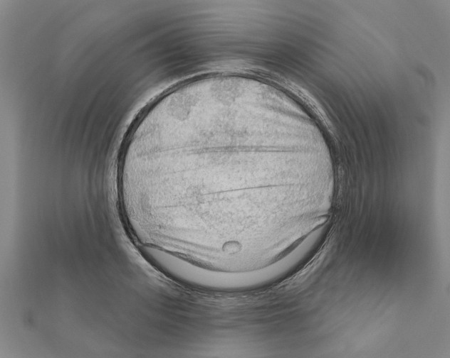 X0000111200939200908121107