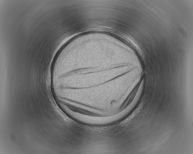 X0000111200940200908121107