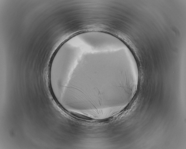 X0000111200941200908121107