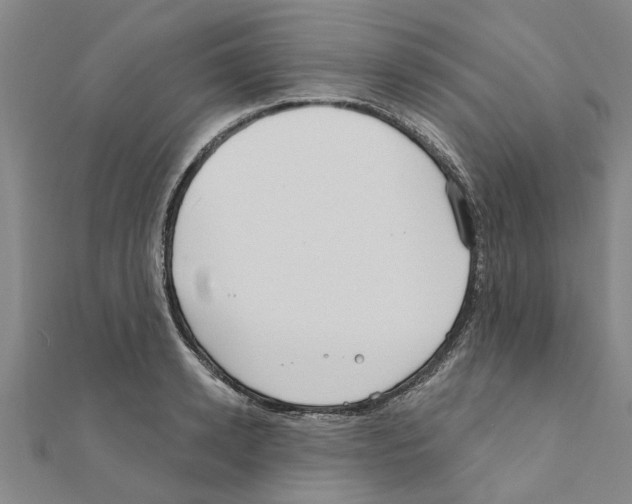 X0000111200942200908121107