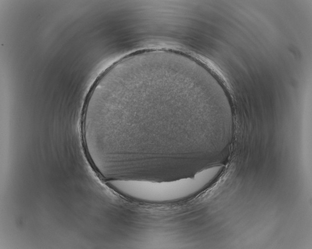 X0000111200943200908121107