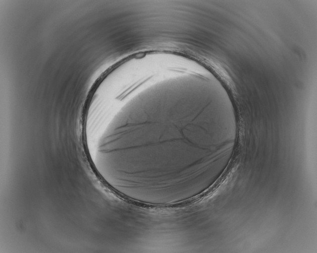 X0000111200944200908121107