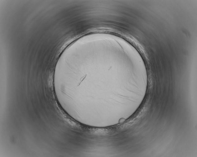 X0000111200945200908121107