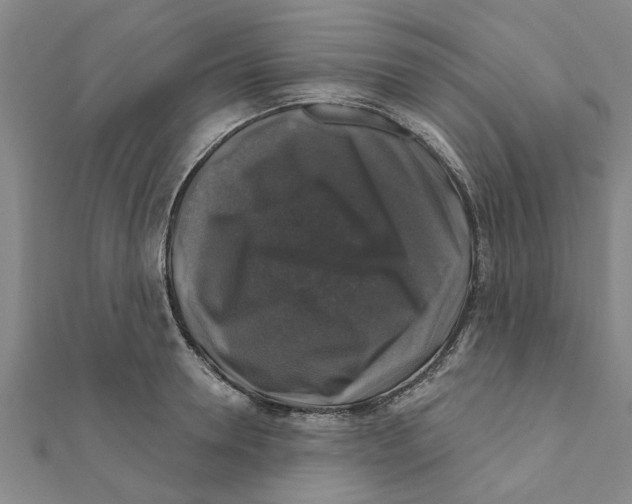 X0000111200946200908121107