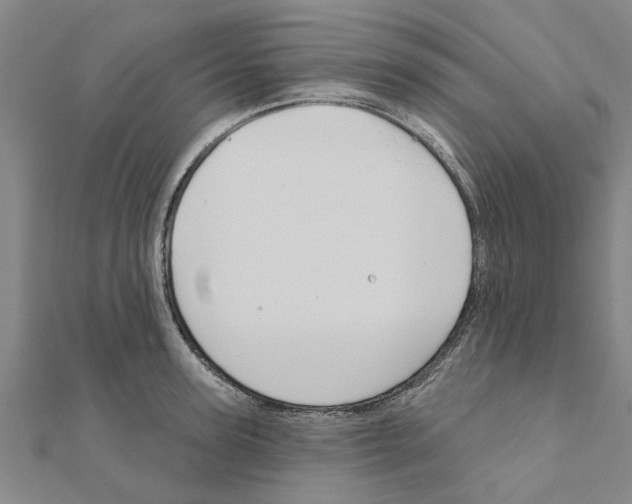 X0000111200947200908121107