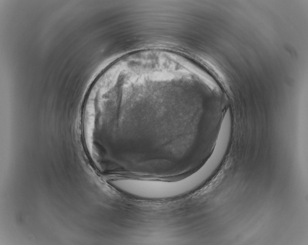 X0000111200948200908121107