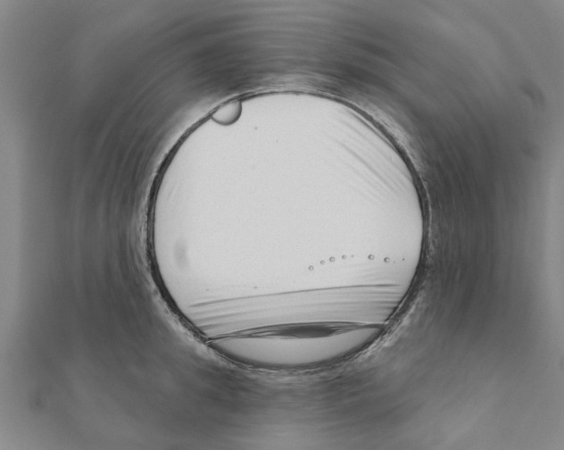 X0000111200949200908121107