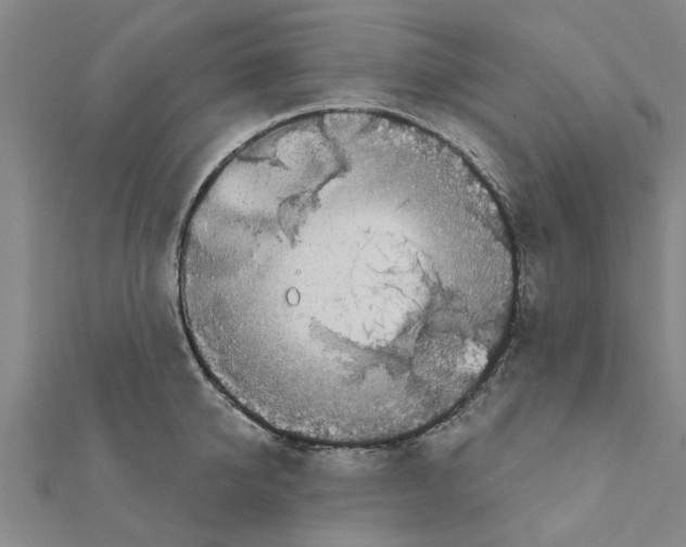 X0000111200950200908121107