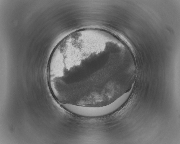 X0000111200951200908121107