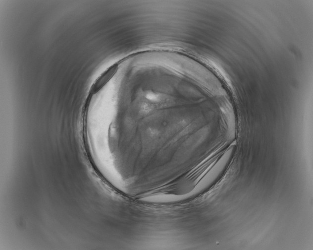 X0000111200952200908121107