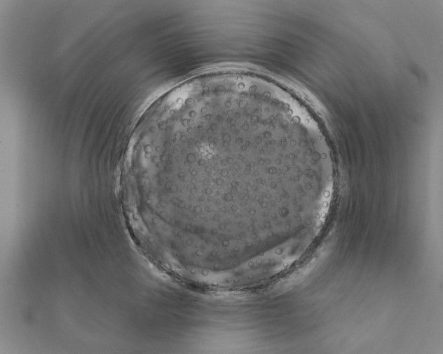 X0000111200953200908121107