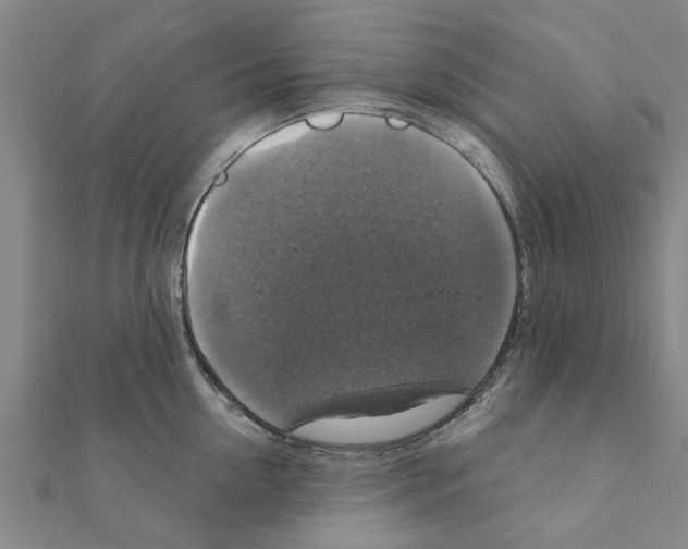 X0000111200954200908121107