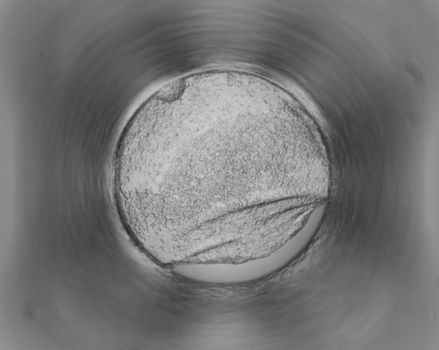 X0000111200955200908121107