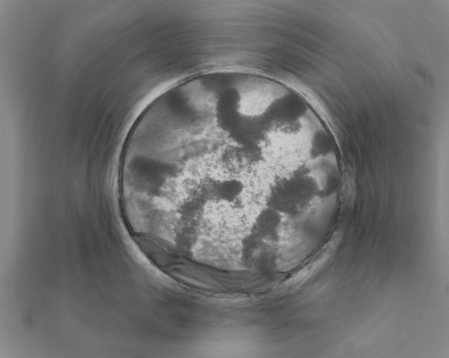 X0000111200957200908121107