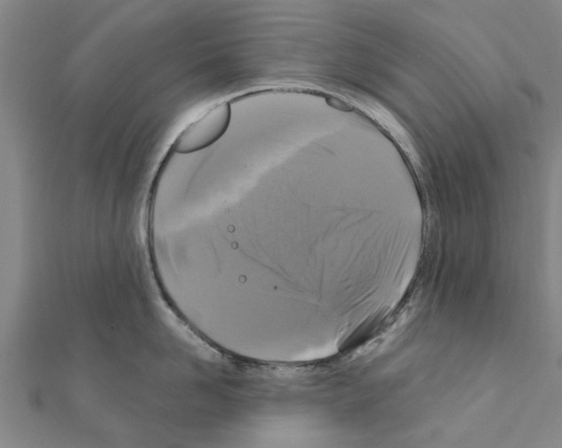 X0000111200958200908121107