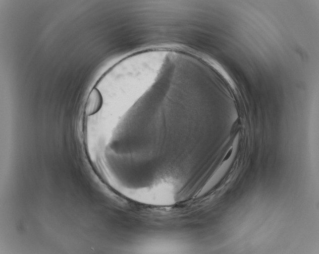 X0000111200959200908121107