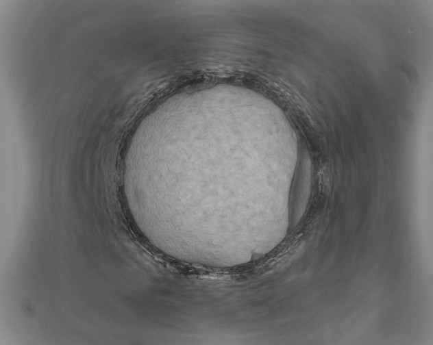 X0000111200961200908121107