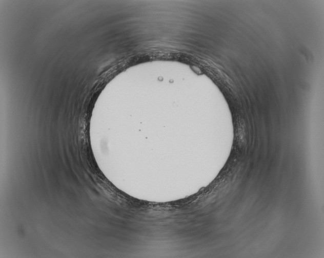 X0000111200964200908121106