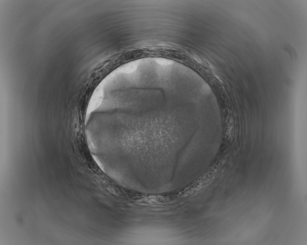 X0000111200966200908121106