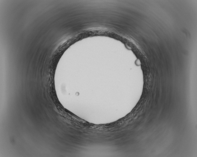 X0000111200967200908121106