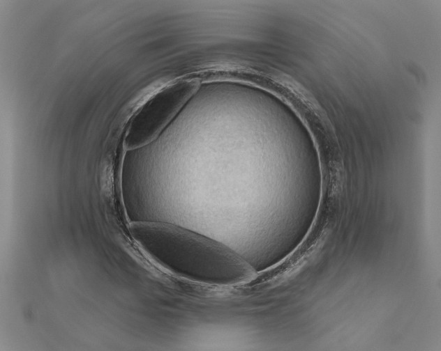 X0000111200969200908121106