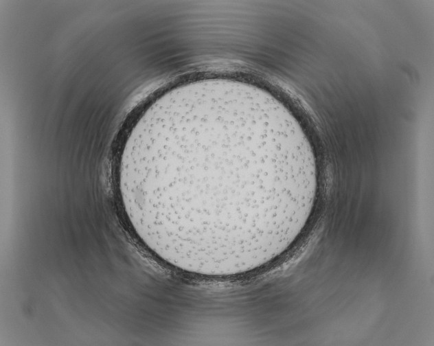 X0000111200970200908121106