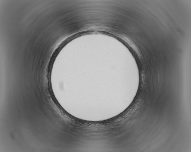 X0000111200972200908121106