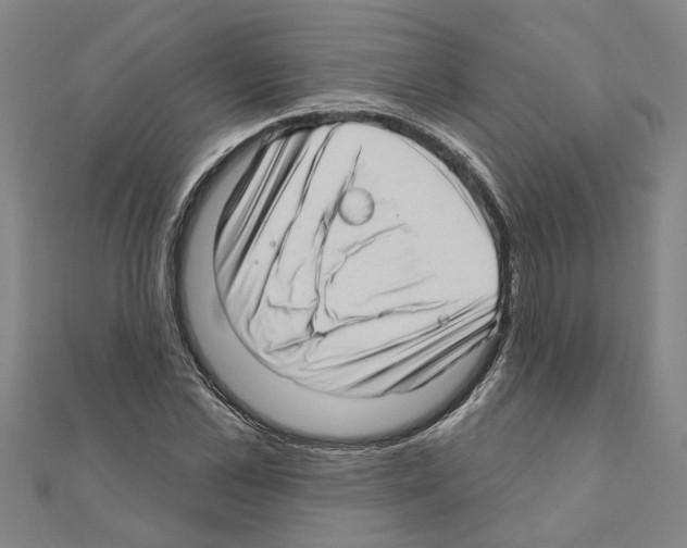 X0000111200973200908121106