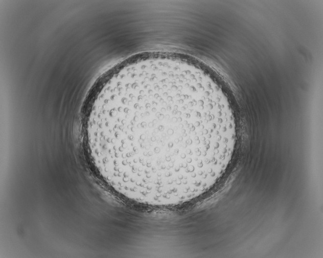 X0000111200974200908121106